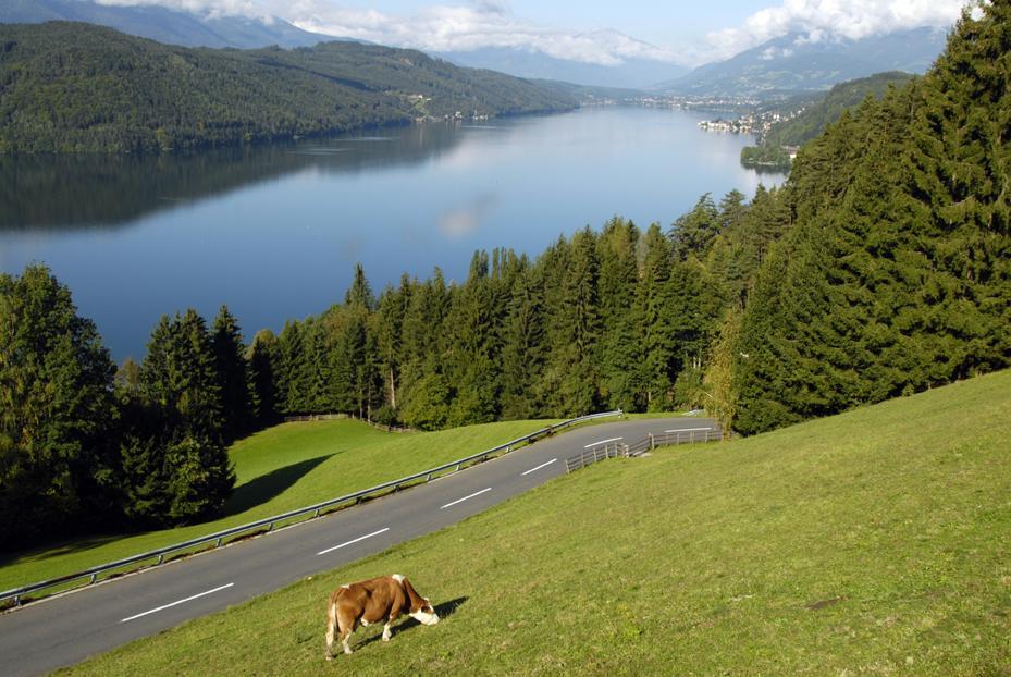 Ferienwohnungen M Cichini Millstatt Bagian luar foto